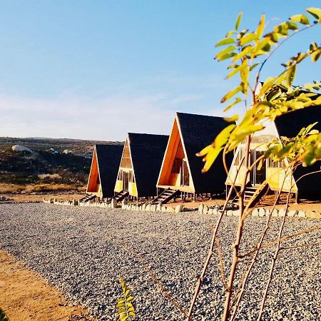 Ixchel Glamping Valle De Guadalupe Энсенада Номер фото