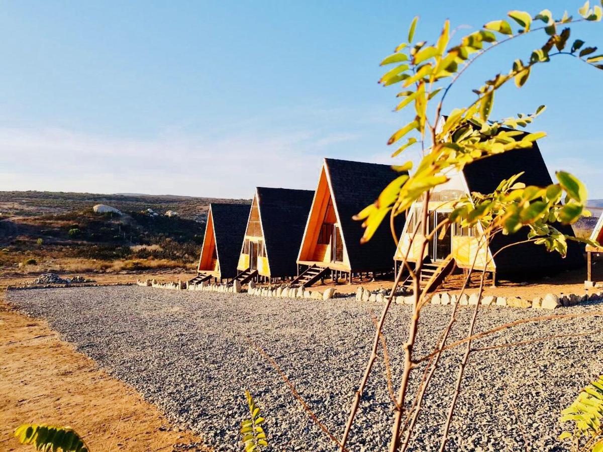 Ixchel Glamping Valle De Guadalupe Энсенада Номер фото